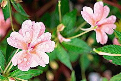 开发者:《漫威暗夜之子》将包含6.5万句配音对话